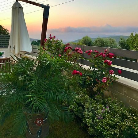 Villa Chryssi Kissamos Bagian luar foto